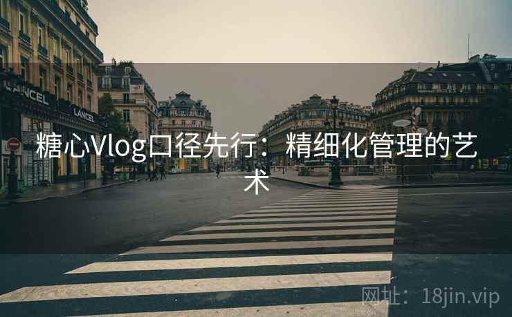 糖心Vlog口径先行：精细化管理的艺术
