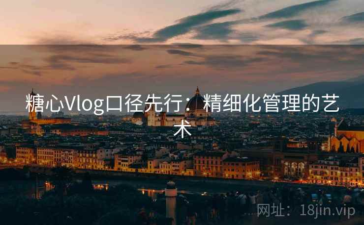 糖心Vlog口径先行：精细化管理的艺术